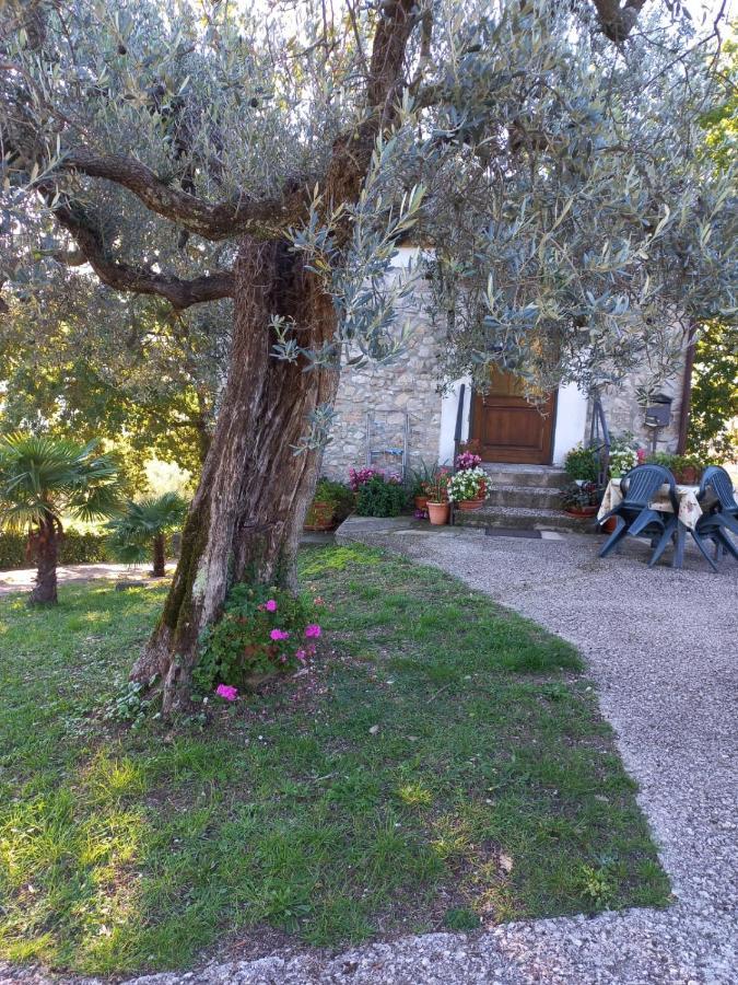 la casetta di Vacone Villa Esterno foto